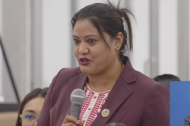 संसद भवन अगाडि यथाशीघ्र जेनजी शहीदको सालिक निर्माण गर्न माग