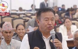 एमाले सांसद राईको चेतावनी– ७ दिनभित्र बाँदर नियन्त्रणमा काम नभए संसद् चल्न गाह्रो हुन्छ
