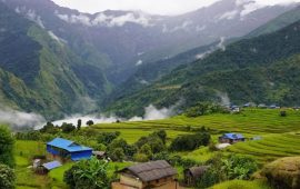 संखुवासभामा पहिरोले २१८ भेडा पुरिए, एक गोठाला घाइते