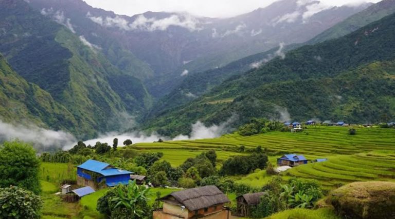 संखुवासभामा पहिरोले २१८ भेडा पुरिए, एक गोठाला घाइते