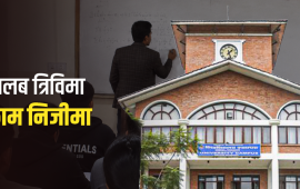 ७८४ प्राध्यापक : तलब त्रिविमा बुझ्छन्, काम निजीमा गर्छन्