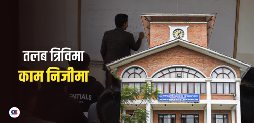 ७८४ प्राध्यापक : तलब त्रिविमा बुझ्छन्, काम निजीमा गर्छन्
