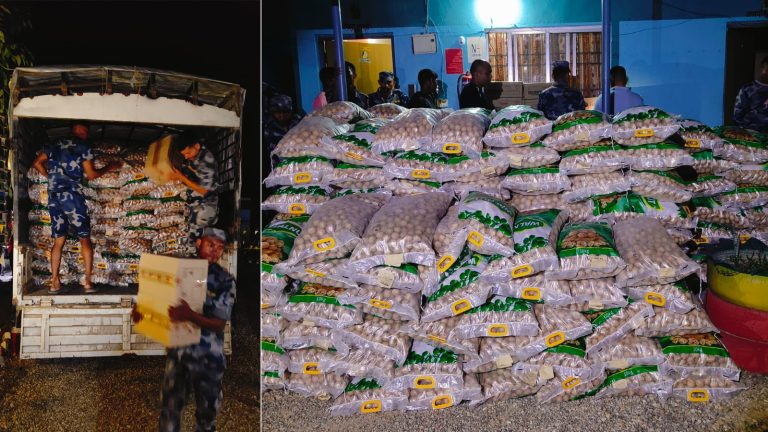 सिरहामा ४० लाख बराबरको सामानसहित ट्रक नियन्त्रणमा