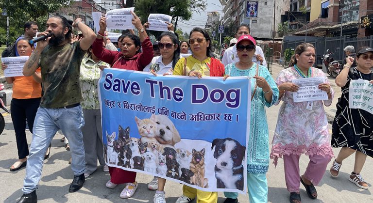 ‘डग ब्रिडिङलाई नियमन गर, अनिवार्य माइक्रोचिप लागू गर’
