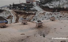 बैतडीमा भारी असिना, मकैबालीमा क्षति (तस्वीरहरू)