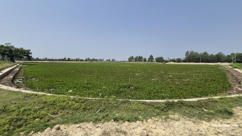 बडकी पोखरी मुसैली सौन्दर्यीकरण योजना ६ वर्षदेखि अलपत्र