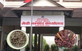 मेची भन्सारबाट अलैँची निर्यात बढ्यो, चिया घट्यो