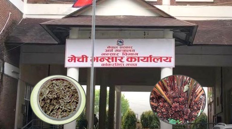मेची भन्सारबाट अलैँची निर्यात बढ्यो, चिया घट्यो