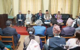 कांग्रेसका सांसदलाई सभापति थापाको प्रशिक्षण (तस्वीरहरू)
