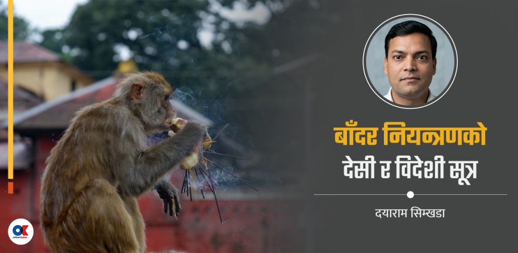 यसरी नियन्त्रण गर्न सकिन्छ बाँदर आतङ्क 