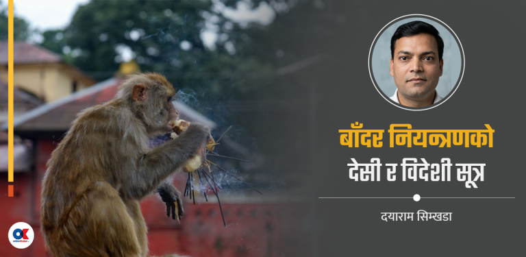 यसरी नियन्त्रण गर्न सकिन्छ बाँदर आतङ्क 