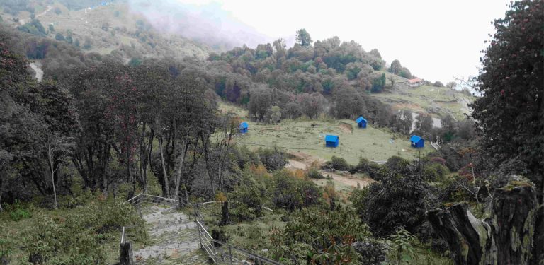 गुराँससँगै फस्टाउँदै स्थानीय घरबास