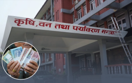 कृषि अनुदान : ६ वर्षमा दोब्बर, वास्तविक किसानको छैन पहुँच