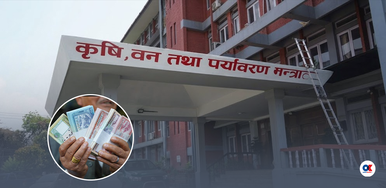 कृषि अनुदान : ६ वर्षमा दोब्बर, वास्तविक किसानको छैन पहुँच
