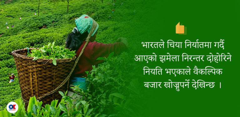 अझै सहज भएन चिया निर्यात, प्रधानमन्त्रीले नै हस्तक्षेप गर्नुपर्ने व्यवसायीको माग