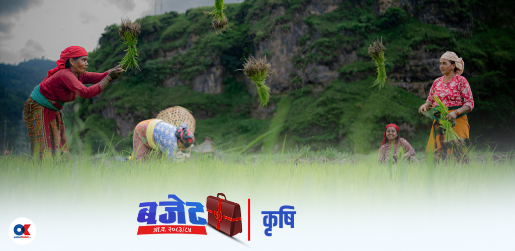 कृषि बजेट सीमा घट्यो, के चाहन्छन् किसान ?