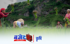 कृषि बजेट सीमा घट्यो, के चाहन्छन् किसान ?