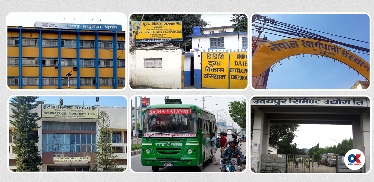 घाटामा रहेका १६ सार्वजनिक संस्थानकाे अवस्था कस्ताे छ ?