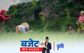 कृषिमा कर्पोरेट मोडेल : साना किसानका कार्यक्रम खारेज, ठूलालाई ४० प्रतिशत अनुदान