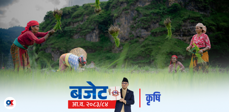 कृषिमा कर्पोरेट मोडेल : साना किसानका कार्यक्रम खारेज, ठूलालाई ४० प्रतिशत अनुदान