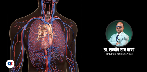 हाम्रो शरीरमा कसरी सञ्चालन भइरहेको हुन्छ सर्क्युलेटरी सिस्टम ?