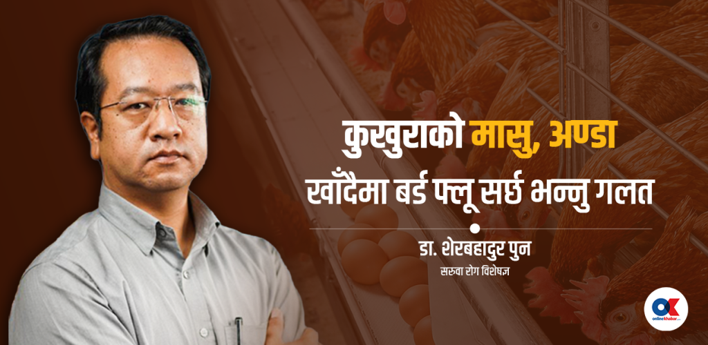 बर्ड फ्लू अलर्ट : पन्छीबाट मानिससम्म सर्न सक्ने भाइरस कति खतरनाक ?
