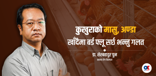 बर्ड फ्लू अलर्ट : पन्छीबाट मानिससम्म सर्न सक्ने भाइरस कति खतरनाक ?