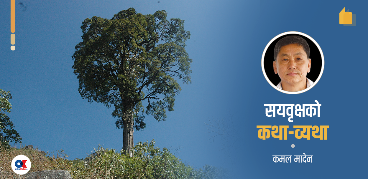 ढल्यो भोजपुरको सयवृक्ष, रैथाने सभ्यता उठाउने चुनौती