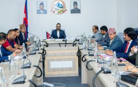 संविधान संशोधन बहसपत्र कार्यदल र राजनीतिक दलका नेताबीच छलफल