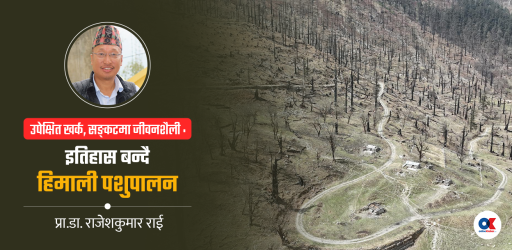 उपेक्षित खर्क, हराउँदै गएको हिमाली पशुपालन