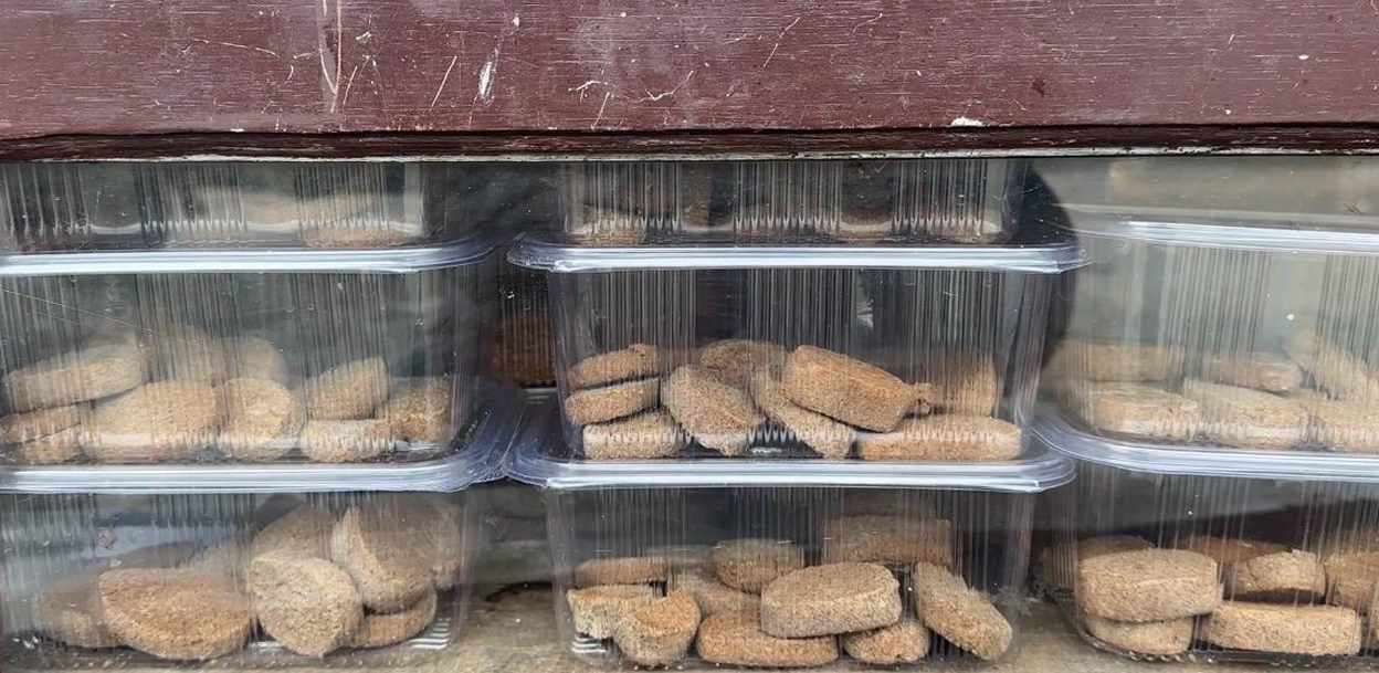 पाहुनालाई कोसेली कोदोको बिस्कुट