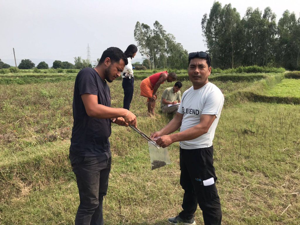 संकटमा मधेशको माटो : जैविक गुण सकिंदा ढुंगा जस्तै बन्दैछ खेत
