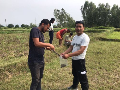 संकटमा मधेशको माटो : जैविक गुण सकिंदा ढुंगा जस्तै बन्दैछ खेत