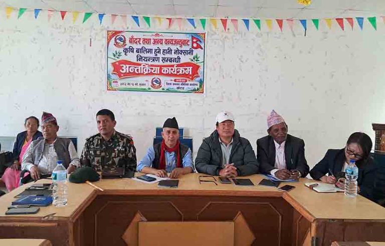 खोटाङमा बाँदर धपाउन ६ महिना हेरालु राख्न सुझाव