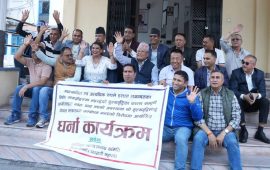 मूल्य समायोजन मागसहित निर्माण व्यवसायीले दिए विकासे विभागमा धर्ना