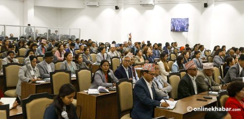 स्थगित संसद्, ठप्पप्रायः मिनी संसद्