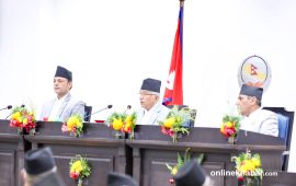 अटिजम र न्युरोडाइभरसिटी भएका बालबालिकालाई थेरापी सेवा सञ्चालन गर्ने