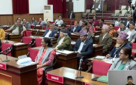 रास्वपाविहीन राष्ट्रिय सभा : विपक्षीका संशोधन फेल, सरकारको नीति तथा कार्यक्रम पास