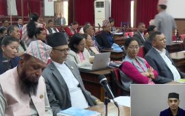 अर्थमन्त्री प्रतिनिधिसभामै रोकिएपछि राष्ट्रिय सभा बैठक स्थगित