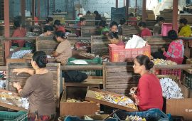 राज्यको गलत नीतिले संकटमा एक्लो सलाई उद्योग