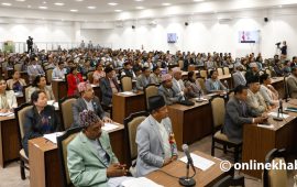 सांसदका स्वकीय र स्रोत खोसेर परिणाममुखी संसद् दिवास्वप्न