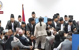 संसद्‌मा लफडा : सभामुखको आसनमै पुगे विपक्षी सांसद