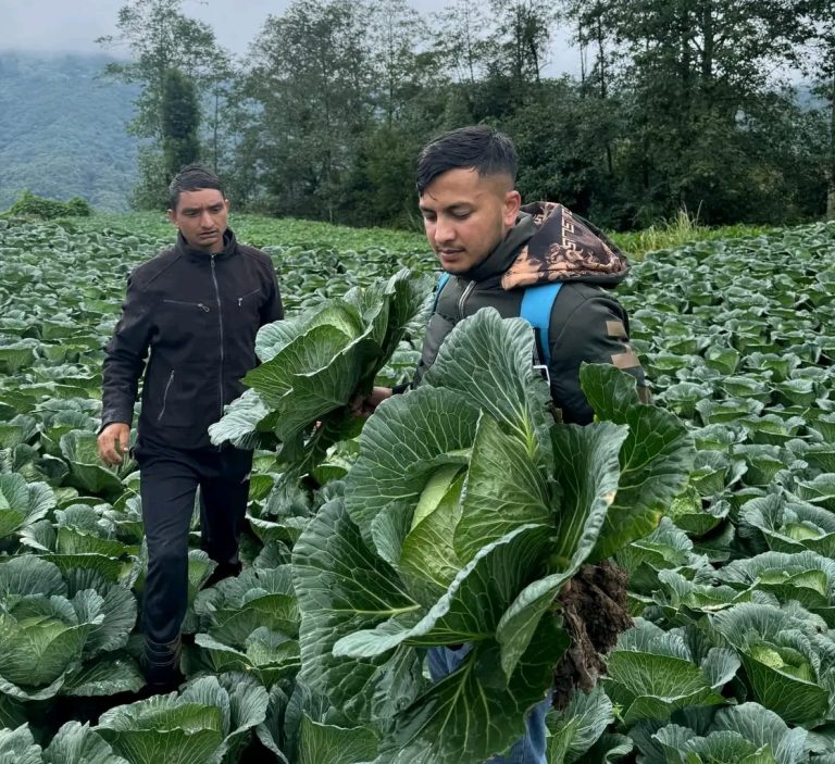 सुमनको कृषि उद्यम यात्रा
