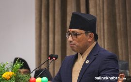 रासायनिक मल खरिद गर्न ३२ अर्ब ४६ करोड बजेट