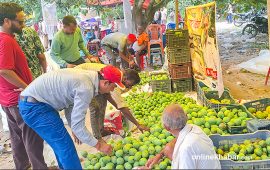 धनुषाको चित्रपुरमा आँप मेला, ३० लाखको कारोबार