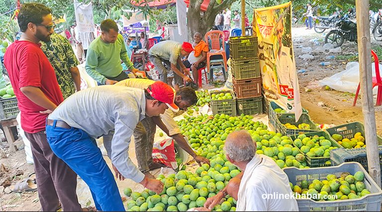 धनुषाको चित्रपुरमा आँप मेला, ३० लाखको कारोबार