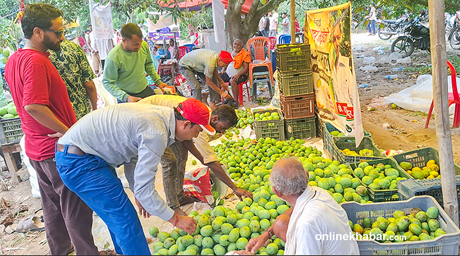 धनुषाको चित्रपुरमा आँप मेला, ३० लाखको कारोबार