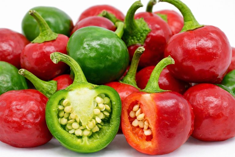 अकबरे खुर्सानीको भाउ एकै दिन २० प्रतिशतले बढ्यो, अरुको कति ?