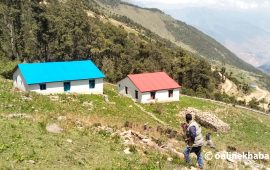 डोल्पामा बलाङ्ग्रा चौँरी फार्म अलपत्र : राज्यको लगानी, बालुवामा पानी