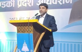 रास्वपा नेता-कार्यकर्ता अनुशासनमा बाँधिनुपर्छ : महामन्त्री बुर्लाकोटी